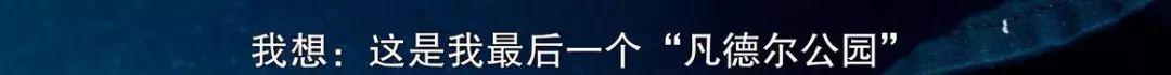 耻度大到全片马赛克，这种爱情浪得太动人